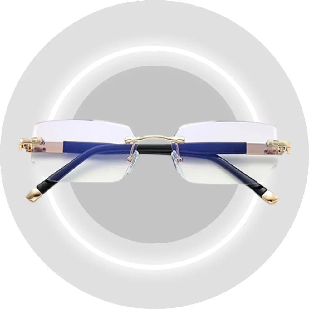 1x VisionPro™