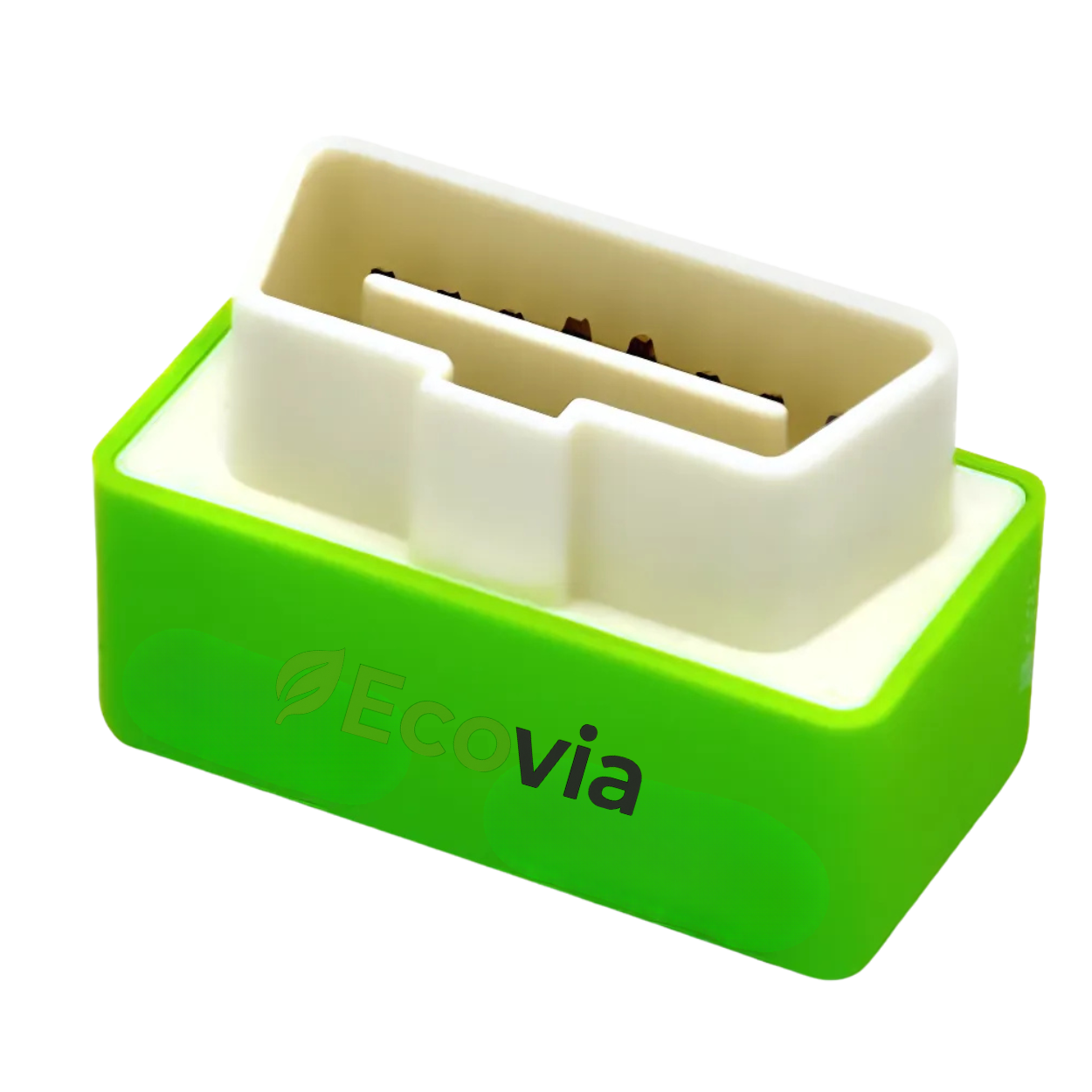 Ecovia